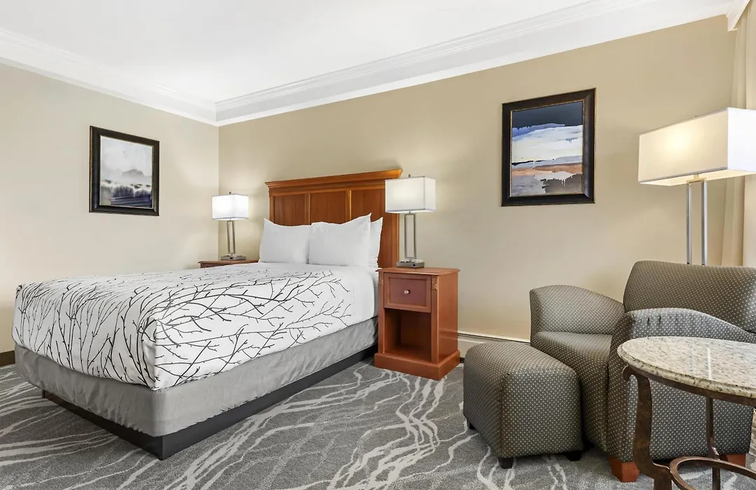 Best Western Plus Silver Saddle Inn-1