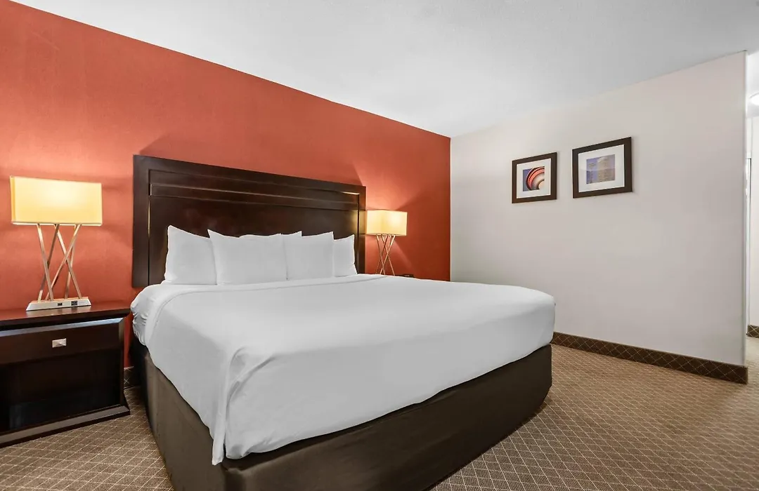 Comfort Inn & Suites Airport South-1