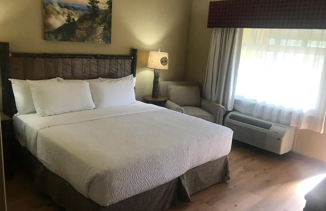 The Appy Lodge-1