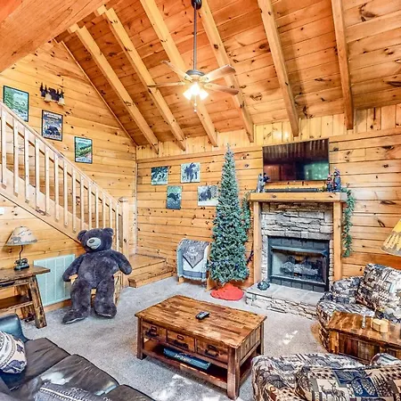 Beary Comfy-2