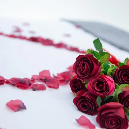 Love Suite Roma - Il Nido D'Amore-3