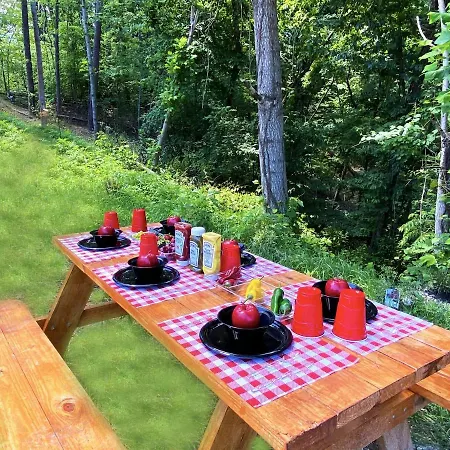 Cozy Bear Den Cabin-2