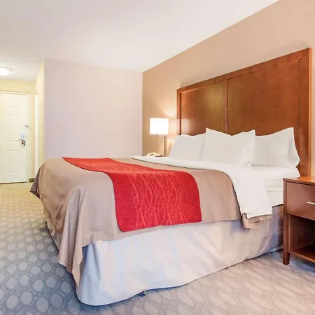 Comfort Inn Fallsview-3