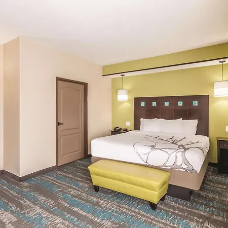 La Quinta By Wyndham Dallas Grand Prairie South-3