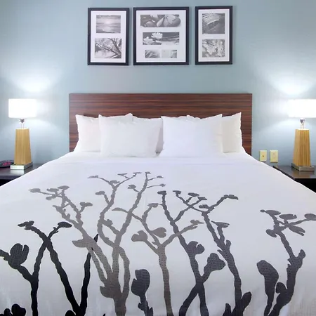 Sleep Inn & Suites Chesapeake - Portsmouth-3