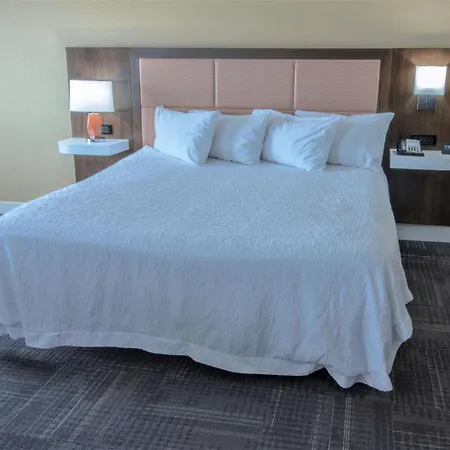 Hampton Inn & Suites Chesapeake-Battlefield Boulevard-3