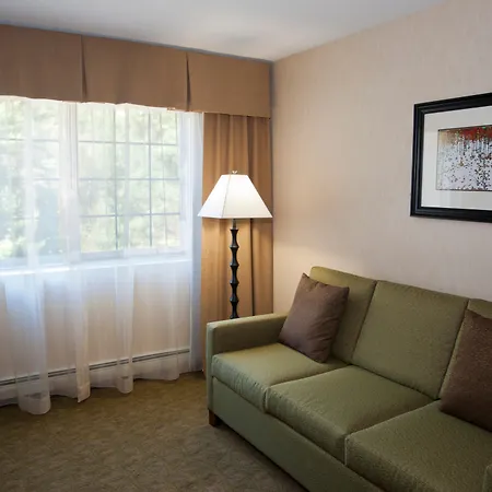 Holiday Inn Express Hotel & Suites North Conway By Ihg-2