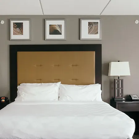 Holiday Inn And Suites East Peoria By Ihg-3