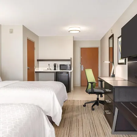 Holiday Inn Express Hotel & Suites Lawton-Fort Sill By Ihg-3