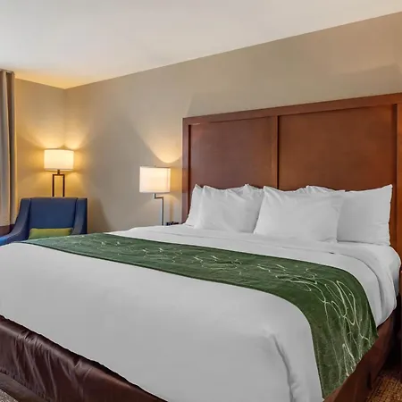 Comfort Inn & Suites Schenectady - Scotia-2
