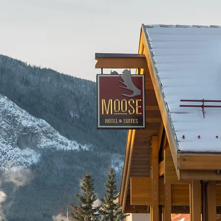 Moose Hotel And Suites-3