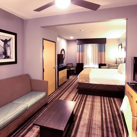 Holiday Inn Express & Suites Amarillo West By Ihg-2