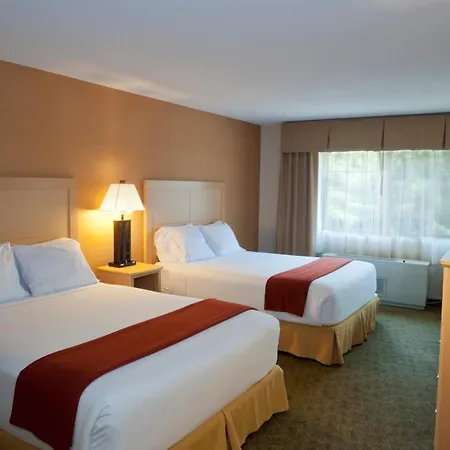 Holiday Inn Express Hotel & Suites North Conway By Ihg-3