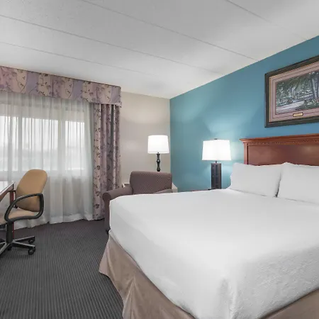 Holiday Inn & Suites St. Cloud By Ihg-3