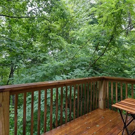 Sugar Bear Cabin With Hot Tub And Fire Pit-3