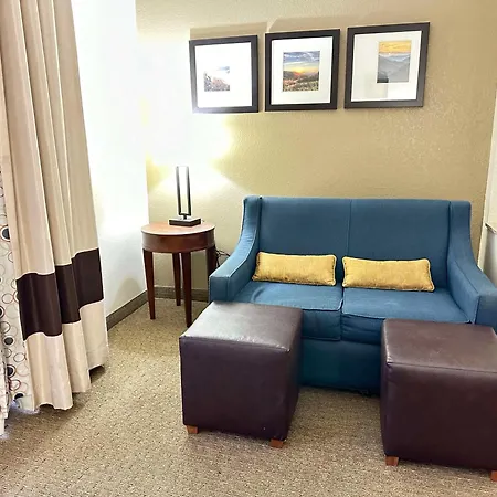 Vista Suites Near Island And Leconte Convention Center-3