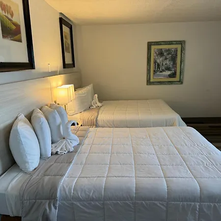 Emerald Shores Hotel - Daytona Beach-2