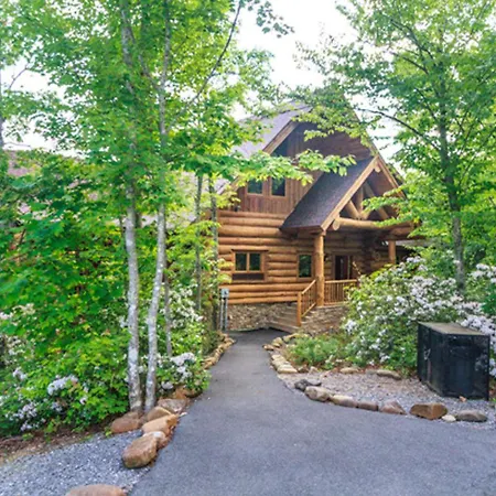 Big Bear Ridge Lodge - Breathtaking Mountain Views And Private Forest Scenes In Amazing Large Log Cabin-2