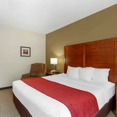 Comfort Inn & Suites Rapid City South - Mt Rushmore Gateway-2