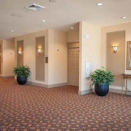 Hilton Garden Inn Pensacola Airport/Medical Center-3