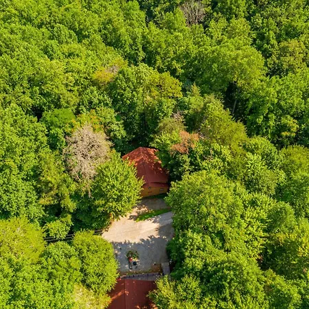 Bear Creek Hollow, Free Dollywood Ticket & More! 2 King Bedrooms And Loft W Hot Tub, Game Room Wifi-3