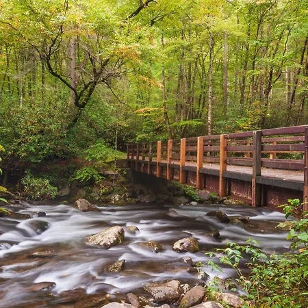 Lazy Bear Lodge, Hot Tub, Resort Pool, Wifi, 1089 Free Tickets Each Paid Day, Dollywood And More-3