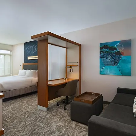 Springhill Suites By Marriott Anaheim Maingate-2
