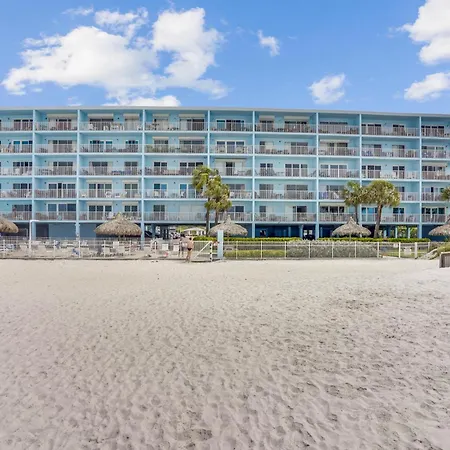 Sand Dollar 107-2