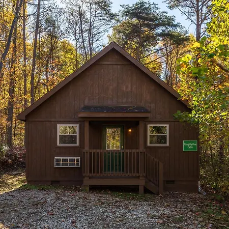 Blue Rose Cabins - Naughty Pine Cabin-3