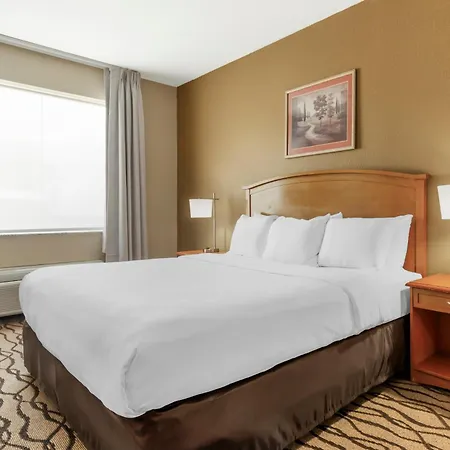 Comfort Inn & Suites Chesapeake - Portsmouth-2