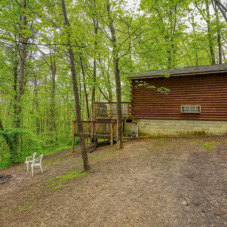 Blue Rose Cabins - Pine Ridge Cabin-2