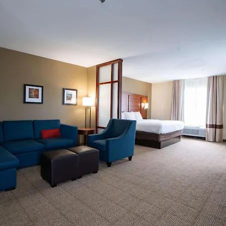 Comfort Suites Flowood - Jackson Airport-3