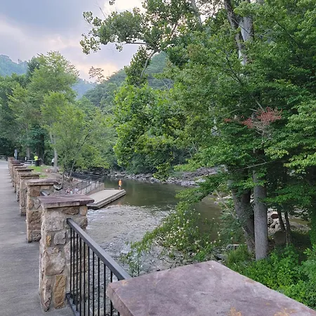 Bear Necessities, Luxury 5Bd Mtn Views, Hot Tub, Many Bear Sightings-2