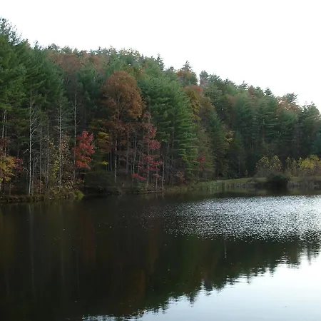 Bear Necessities, Luxury 5Bd Mtn Views, Hot Tub, Many Bear Sightings-3
