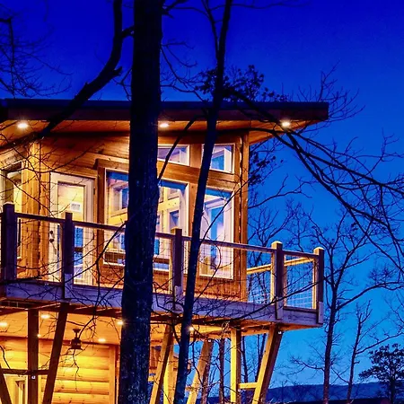 Treetop Treasure-2
