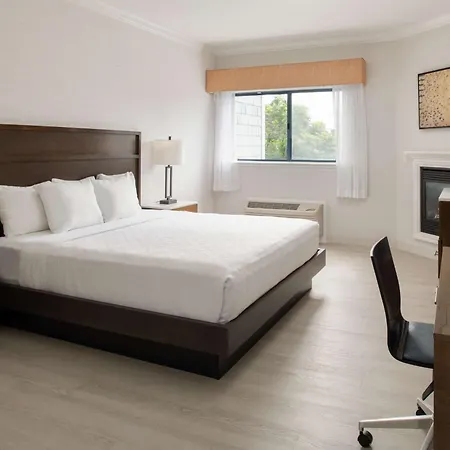 Best Western Plus All Suites Inn-3