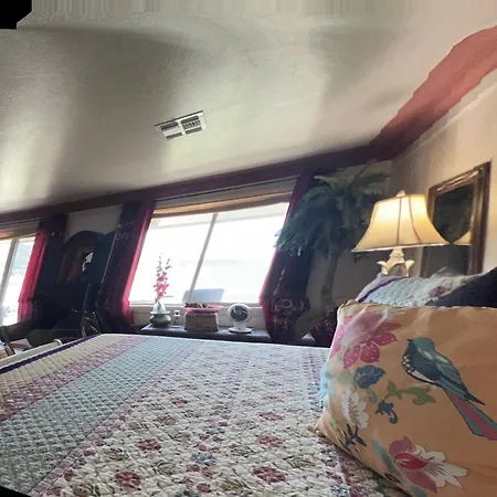 Mermaid'S Muse Bed And Breakfast-2
