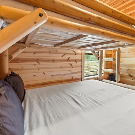 Foxes' Den Cabin With Private Hot Tub-2