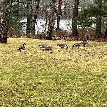 Fresh Pond East-2