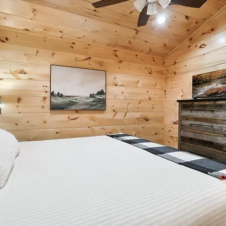 Happy Bear Lodge - 1 Mile To Parkway - Hot Tub, Pool Table & Theater!-3