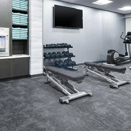 Fairfield By Marriott Inn & Suites Dallas Dfw Airport North, Irving-2