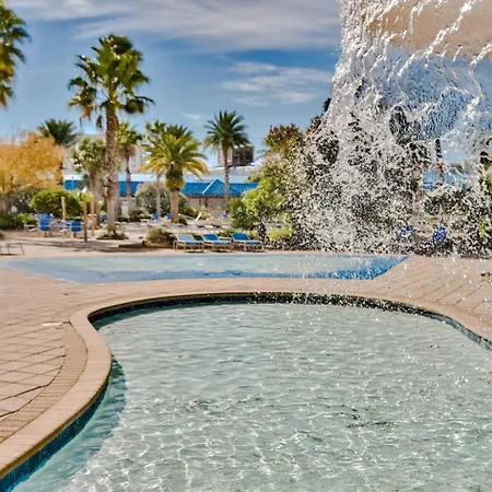 The Salty Palm-2