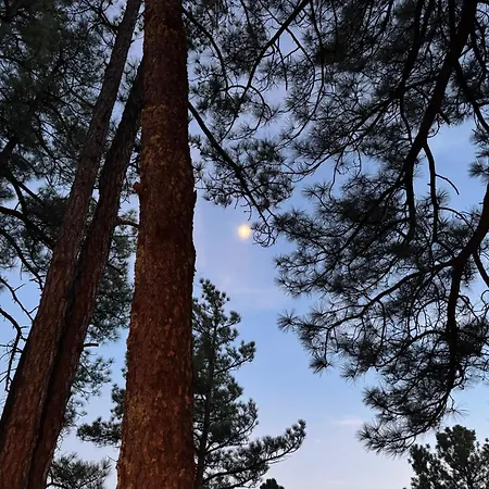 Gonzales Cozy Little Bear Cabin-2