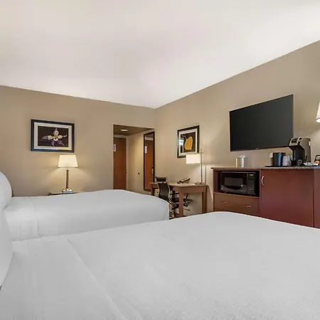 Best Western Plus Peak Vista Inn & Suites-3