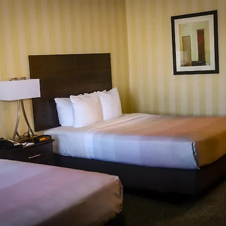 Quality Inn Colorado Springs Airport-2