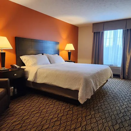 Holiday Inn Express Hotel & Suites Cadillac By Ihg-3