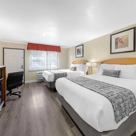 Best Western Plus Ontario Airport & Convention Center-3