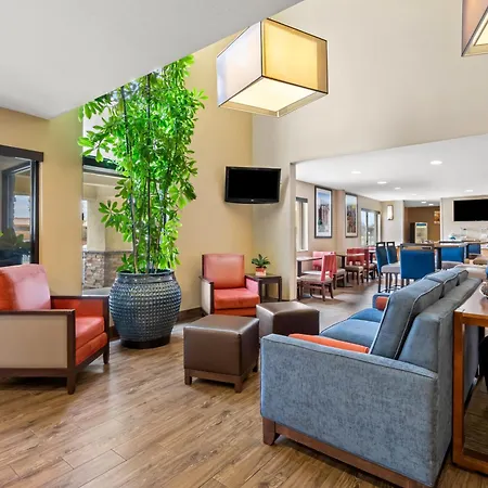 Comfort Inn & Suites Albuquerque Downtown-2
