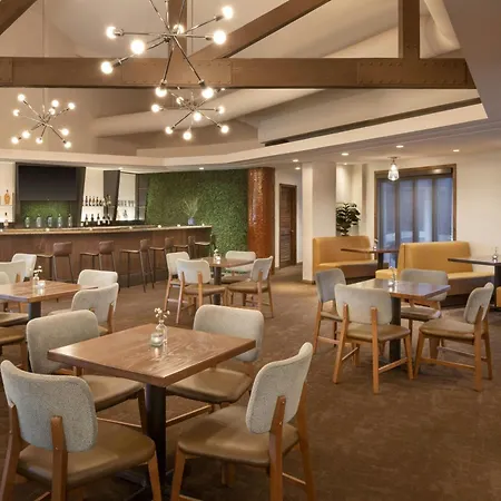 Delta Hotels By Marriott Phoenix Mesa-2