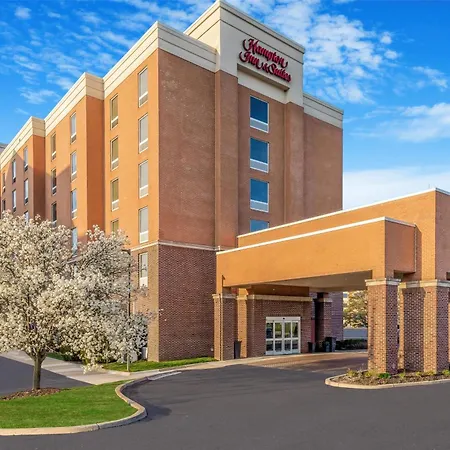 Hampton Inn & Suites Detroit/Airport Romulus-2